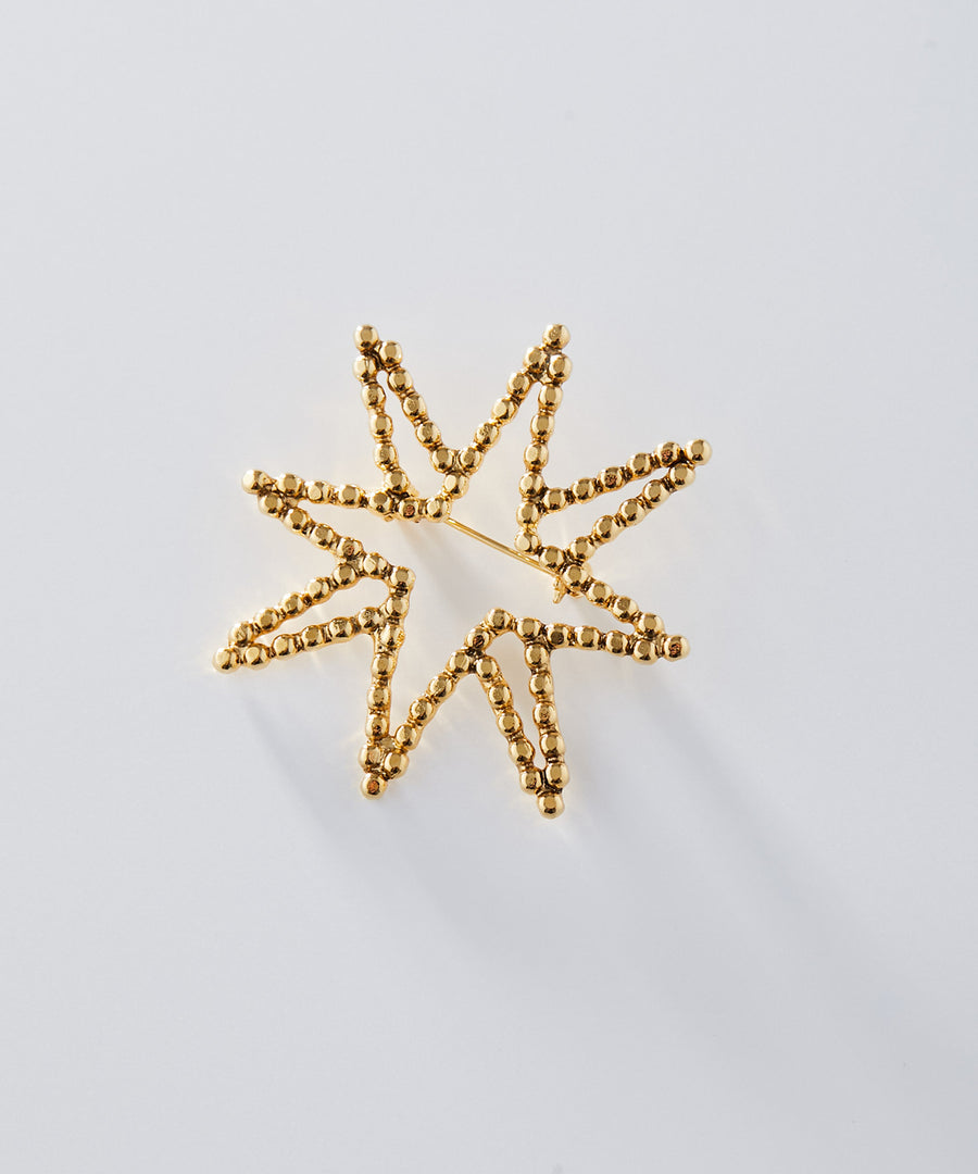 CUTSTEEL star brooch